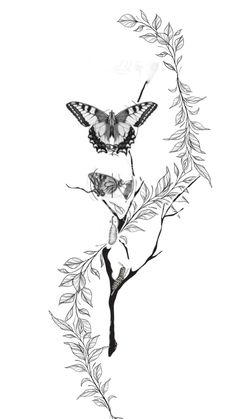 a black and white drawing of two butterflies on a branch with leaves in the foreground