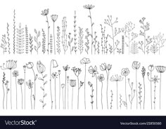 hand drawn flowers and plants set in black and white stock photo edit now for free