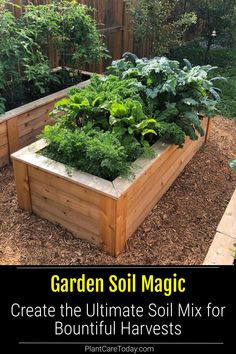 garden soil magic create the ultimate soil mix for beautiful harvested vegetables and herbs in your backyard