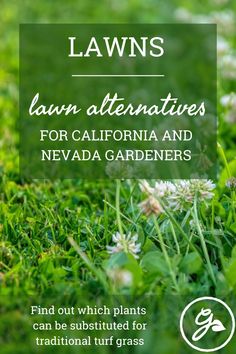 lawns with the words lawn alternatives for california and nevada gardeners