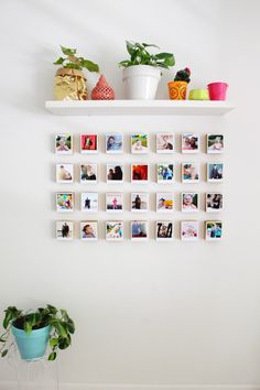 a white wall with several pictures on it and a potted plant in the corner