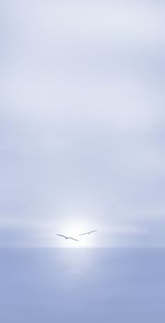 a bird flying in the sky over an ocean