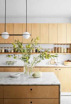 a kitchen with wooden cabinets and marble counter tops, plants in vases on the island