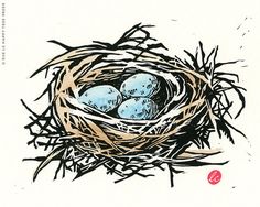 a bird's nest with three eggs in it