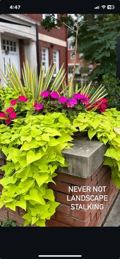 a brick planter filled with lots of flowers