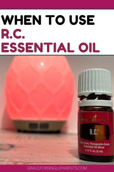 Young Living Essential Oils Recipes Cold, Oil For Cough, Essential Oils For Cough, Types Of Eucalyptus, Oils For Sinus