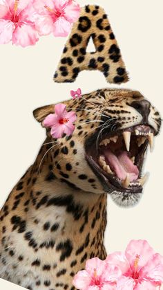 a leopard with its mouth open and flowers in front of it's face, next to the letter a