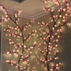 a lighted tree with pink flowers in front of a wall