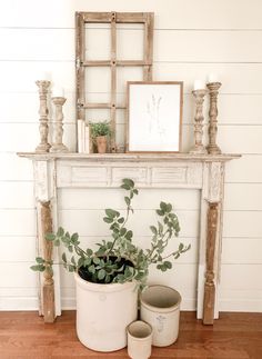 a potted plant sitting on top of a wooden floor next to a white fireplace