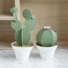 two small cactus plants in white pots on a counter