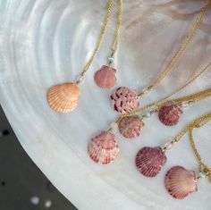 "*Ready to ship! Very durable waterproof, gold-filled material* genuine sea shells, wire wrapped with gold-filled, tarnish-resistant wire 16-inch gold-filled, tarnish-resistant, very durable chain. Shello! My name is Caroline, and I love creating unique pieces of jewelry made with Florida's Calico seashells. You are guaranteed to have a one-of-a-kind treasure with each purchase. No two seashells are ever the same; that is the beauty of it. Choose your one-of-a-kind shell! If you have any questions or need exact measurements or more info for a piece, please message me by clicking \"contact the shop owner\" on my shop homepage and I will get back to you! I have plenty of shells to add to this listing. If there's a specific shell you're looking for, feel free to message me with details and I Cheap Shell Necklace For Festival, Cheap Adjustable Shell Necklace For Women, Gold Coastal Jewelry Gift, Wire Wrapped Shell Gift, Wire Wrapped Shell Necklace Gift, Gold Shell Necklace In Coastal Style, Gold Coastal Shell Jewelry, Gold Coastal Shell Necklace, Gold Coastal Style Shell Necklace