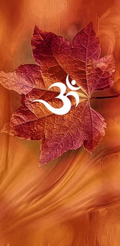 an orange and red leaf with the om symbol on it