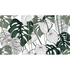 an illustration of tropical plants and leaves on a white background