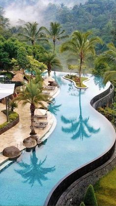 an outdoor swimming pool surrounded by palm trees