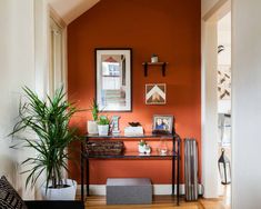 a living room with an orange wall and some plants on the table in front of it