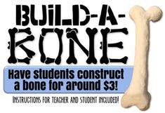 a dog bone with the words build - a - bone have students construct a bone for around $ 3