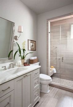 a bathroom with a shower, toilet and sink