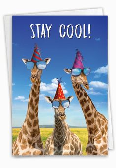 three giraffes wearing party hats and sunglasses with the words stay cool on them