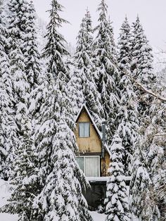 a cabin in the middle of snow covered trees