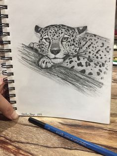 a pencil drawing of a cheetah resting on a tree branch next to a blue crayon marker