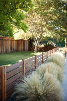 the grass is growing along the wooden fence