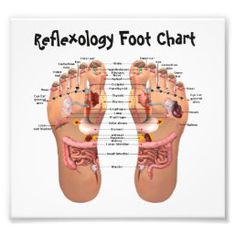 foot reflexology 8x7" poster | Zazzle.com Foot Reflexology Massage, Healing Touch, Outfit Yoga, Massage Techniques