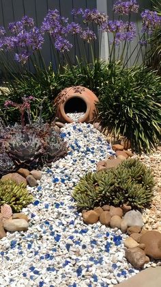 a garden with rocks, gravel and plants in the middle is shown on a sunny day