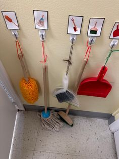 brooms, mop heads and other cleaning supplies are hanging on the wall