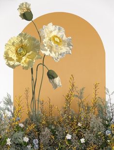 three white flowers in front of an orange wall and some yellow plants with green leaves