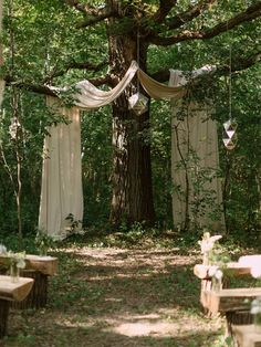 an outdoor wedding setup with draping and tables under a tree in the woods