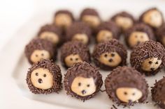 there are many chocolate hedgehogs on the plate