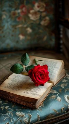 a red rose sitting on top of an open book