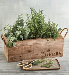 a wooden box filled with fresh herbs next to scissors