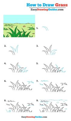 how to draw grass step by step instructions for children and adults, with pictures on the page