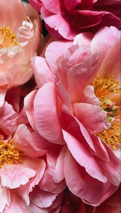 pink flowers with yellow stamens are in the middle of a bouquet on display