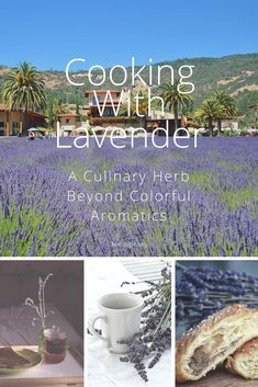 the cover of cooking with lavender by culinary herb beyond colorful aromas, featuring pictures of lavender flowers and bread