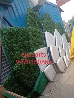 several chairs are lined up next to each other in front of a blue wall with green plants