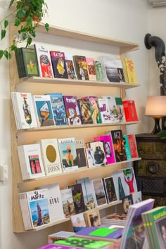 there are many books on the shelves in this room and one has a potted plant