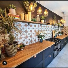 the kitchen counter is lined with potted plants