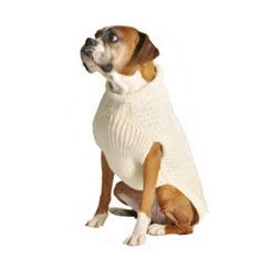 a brown and white dog wearing a sweater