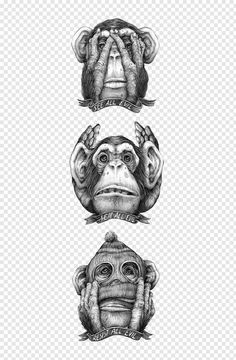 three monkeys with their faces drawn in pencil