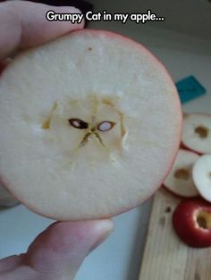 an apple that has been cut in half with the caption jesus on your toast? bow down to grumpy cat in an apple