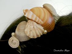 Hair Comb Hair Accessories Real Nautical Florida Seashells Comb "Sun Florida Seashells, Hair Comb Accessories, Comb Hair, Hair Comb, Comb