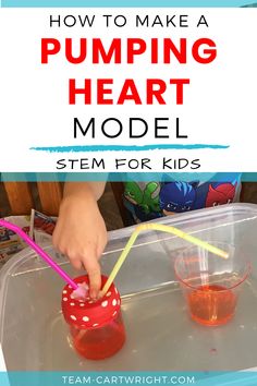 a young child is making a pumpkin heart model with straws and liquid in it