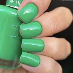 Divine Green #790 — A forest adventure, you say? This deep dark green shade is just right for the occasion. Dnd Sage Green Nails, Dnd Forest Green Gel Polish, Dnd Green, Neon Nails Dnd, Dnd Green Gel Polish, Dnd Gel Polish, Gel Color, Green Nails, Nail Lacquer