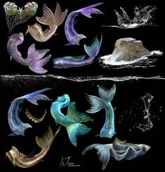 the different types of mermaids are depicted in this drawing