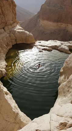 an image of a person swimming in the water