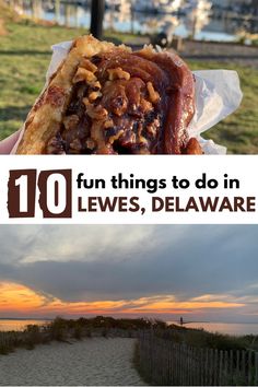 a person holding a hot dog in their hand with the words 10 fun things to do in levis, delaware