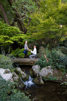 two people are sitting on a bridge over a stream in the woods, holding hands