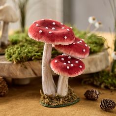 two red mushrooms with white dots on them sitting in front of pine cones and moss